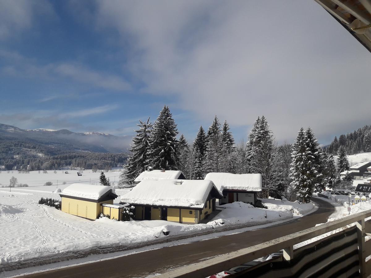 Happy Stay Apartment Bad Mitterndorf Kültér fotó