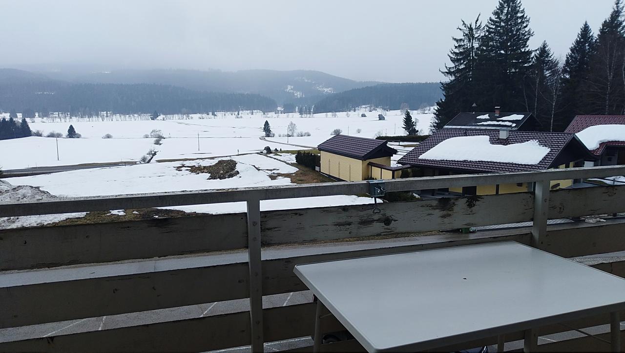 Happy Stay Apartment Bad Mitterndorf Kültér fotó
